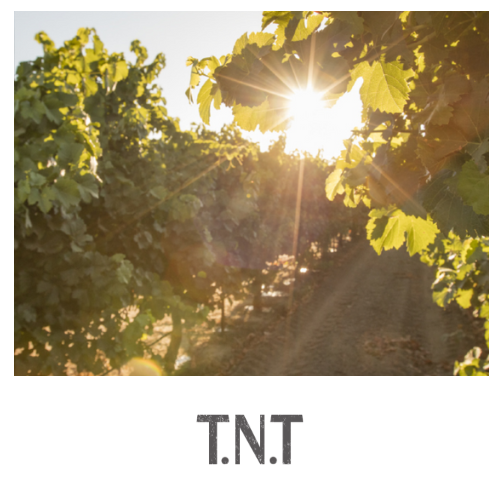 T.N.T