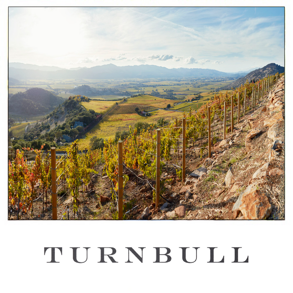 Turnbull
