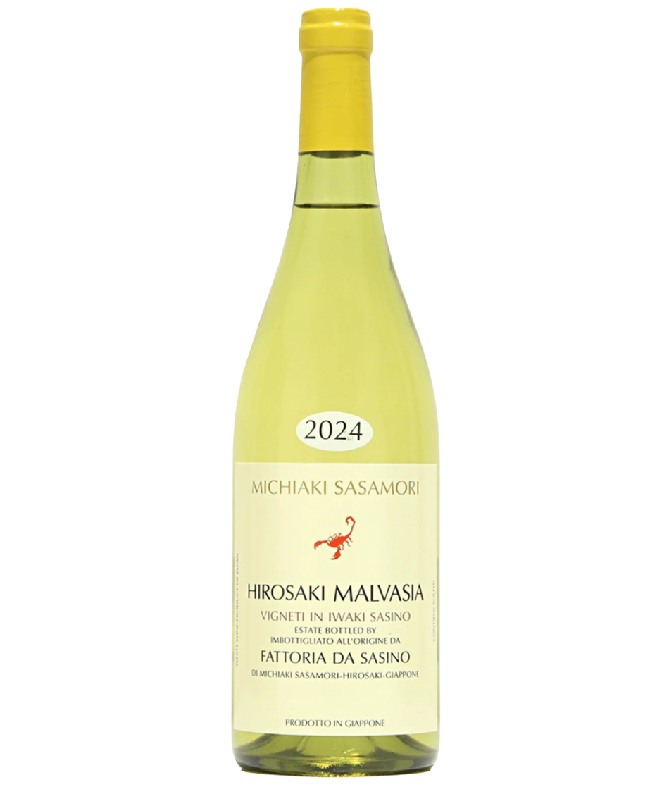 FATTORIA DA SASINO MALVASIA 2024