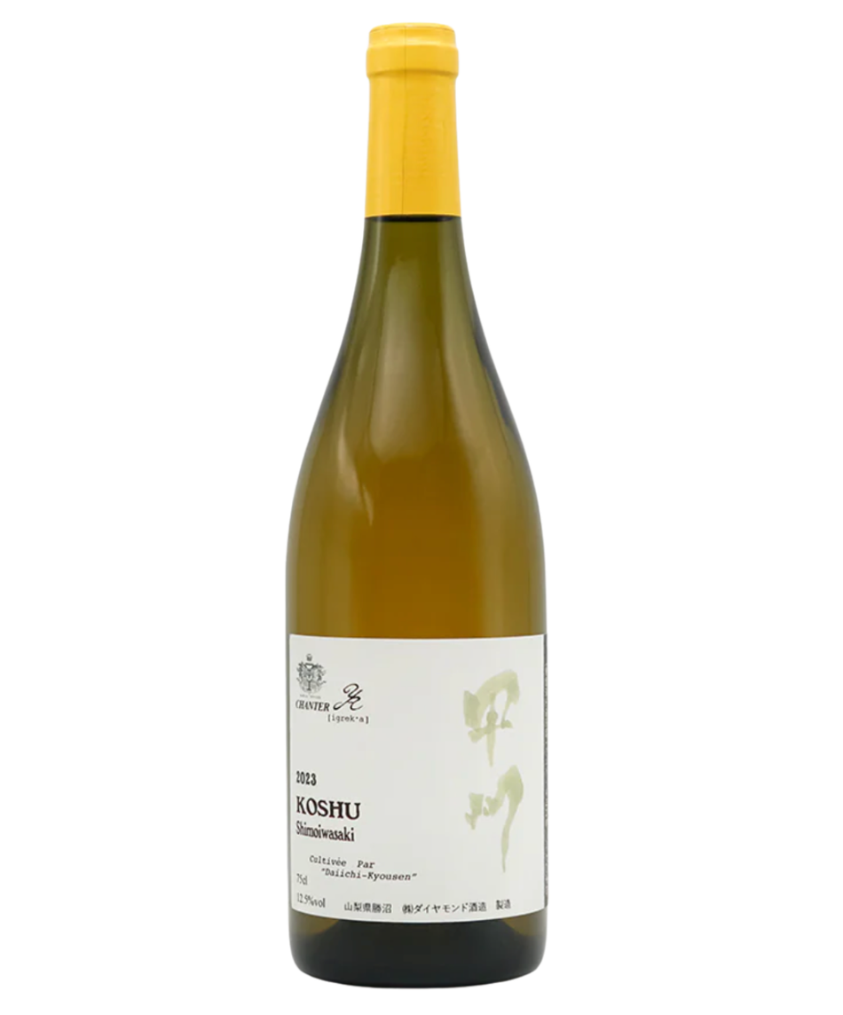 CHANTER Y.A SHIMO IWASAKI KOSHU 2023